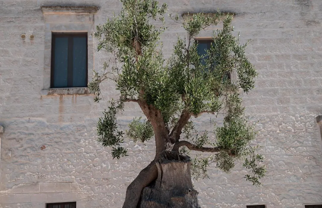 Masseria Donna Nina-1